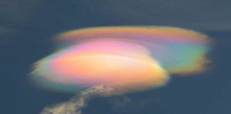 La fin d’année sera chargée d’amour